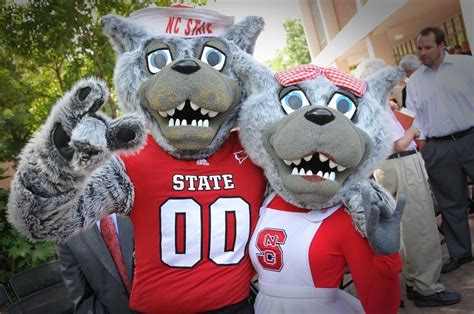 The Ncst Mascot: A Mirrored Reflection of School Values